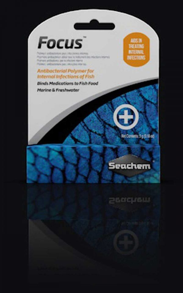 داروی آنتی باکتریال فوکوس Seachem Focus