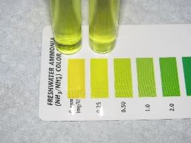 api ammonia test kit