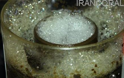 پروتئین اسکیمر C 5.5