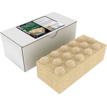 اکسپورت بیو بریک آجری