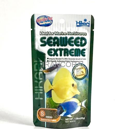 غذای ماهیان دریایی گیاه خوار