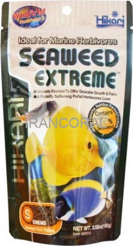 غذای ماهیان دریایی گیاه خوار