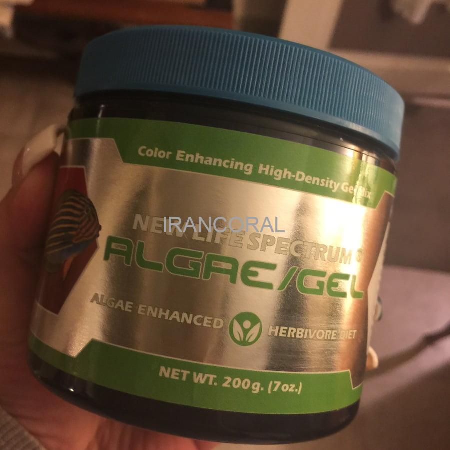 غذای ژلاتینی ماهیان آب شور