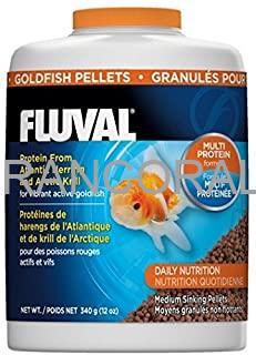 غذای گرانولی مخصوص گلدفیش ماهیان