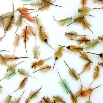 میگوی آرتمیای منجمد