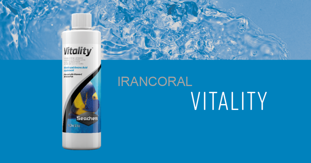 ویتالیتی سیچم