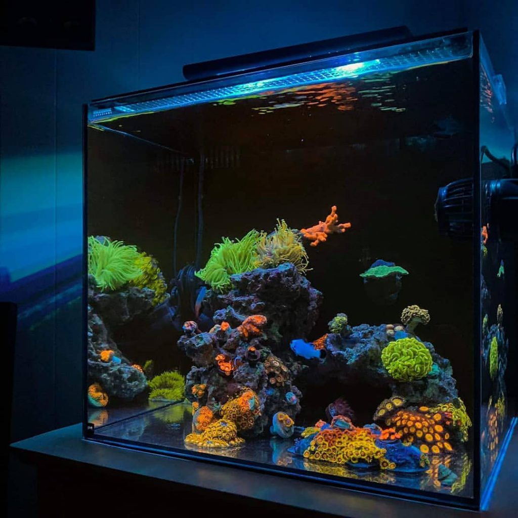 پارامترها و شرایط شیمی آکواریوم ها