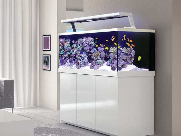 آکواریوم Max-S برند Red Sea
