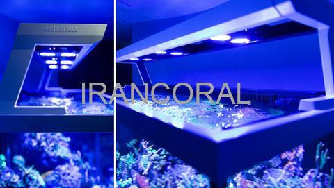 آکواریوم Max-S برند Red Sea