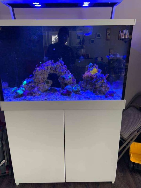 آکواریوم Max-S 400 برند Red Sea