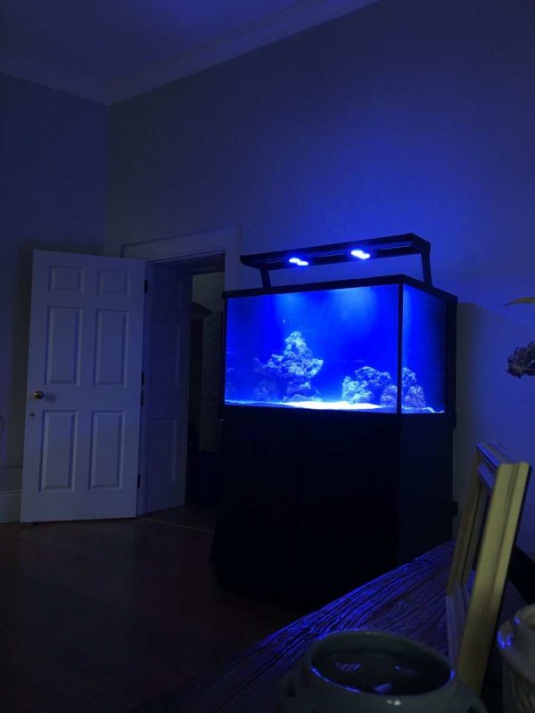 آکواریوم Max-S 400 برند Red Sea