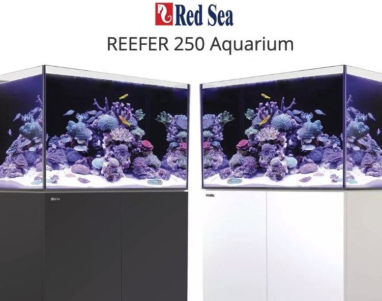 آکواریوم Reefer 250 برند Red Sea