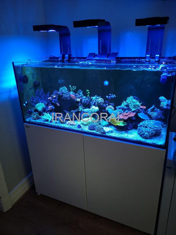 آکواریوم Reefer 350 برند Red Sea