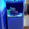 آکواریوم Reefer Nano برند Red Sea