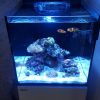 آکواریوم Reefer Nano برند Red Sea