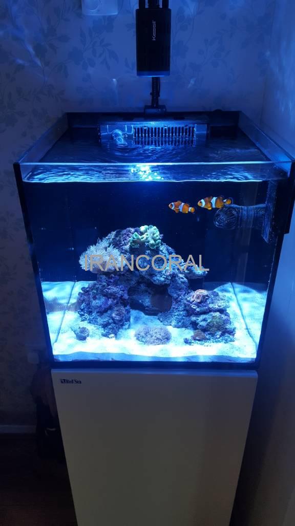 آکواریوم Reefer Nano برند Red Sea