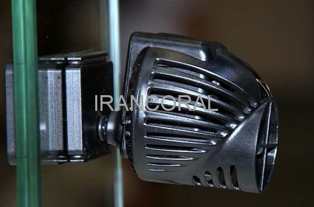 Rossmont تعطیل شد