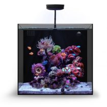 امروزه آکواریوم ها یکی از زیباترین و زنده ترین اجزای یک دکوراسیون کلی خاص و حرفه ای هستند که در طراحی دکوراسیون داخلی منازل، مراکز تجاری و حتی شرکت ها مورد توجه قرار گرفته اند. همچنین آکواریوم ها مرزی میان دنیای ما و دنیای دیگری است که آدمی را وادار به تحسین می کند. این امر ثابت شده است که توجه به این موارد در منزل یا محل کار، باعث آرامش و دلنشین شدن فضا شده و حس مثبتی به افراد منتقل می کند. طراحی و اجرای آکواریوم های حرفه ای امری تخصصی است و باید توسط کارشناسان و متخصصین امر صورت گیرد. تیم حرفه ای ایران کورال با بهره مندی از بهترین کارشناسان و متخصصین این صنعت و استفاده از بهترین تجهیزات و برند های دنیا، به صورت تخصصی در زمینه طراحی، نصب و اجرای آکواریوم های حرفه ای آب شور و…. فعالیت دارد و توانسته است با افتخار رضایت مشتریان خود را جلب نماید. آکواریوم کورال نانو : آکواریوم کورال نانو از مجموعه ایران کورال Irancoral به گونه ای طراحی شده است که بتوان بدون کمترین دردسر و سختی خاصی، انواع آبزیان دریایی زیبا، مانند: ماهیان دریایی و مرجان ها را به راحتی نگهداری کرد و از داشتن یک اکوسیستم دریایی پویا لذت برد. این آکواریوم با گنجایش 70 لیتر می تواند گزینه بسیار مناسبی برای افراد مبتدی و یا حرفه ای باشد . * بسیار ایده آل برای افراد مبتدی و حرفه ای ها * ظاهری بسیار مدرن و چشم نواز * آکواریوم بدون هرگونه فریم خارجی (Rimless) * قابل سفارش در دو رنگ سفید و سیاه * دارای کابینت پایه بسیار جذاب * کابینت ضد آب و مقاوم در برابر خوردگی * دارای فیلتراسیون سامپ پشت با قابلیت دسترسی عالی * طراحی و ساخته شده توسط کمپانی ایران کورال فیلتراسیون کامل فیلتراسیون آکواریوم های سری کورال نانو به طوری طراحی شده است که بتواند بیشترین بهره وری را ارائه دهد . این آکواریوم قابلیت استفاده برای آکواریوم های آب شور و آب شیرین را دارد و می توان به خوبی بهره برد. سیستم منحصر به فرد این آکواریوم باعث می شود که آب از طریق مجرای ورودی، از پد یا فیلتر ساکس عبور کرده و سپس به چندین نوع خانه برای انواع مدیاهای قرار داده شده، منتقل می شود و سپس به وسیله واتر پمپ با شدت جریان مناسب به آکواریوم باز می گردد. توجه : آکواریوم های سری کورال تولید شده توسط این مجموعه به صورت سفارش ساخت می باشند و پس از خرید نهایی، اقدام به ساخت آنها می شود که در این روش، قابلیت سفارش دهی خاصی طبق نظر کاربر وجود دارد .