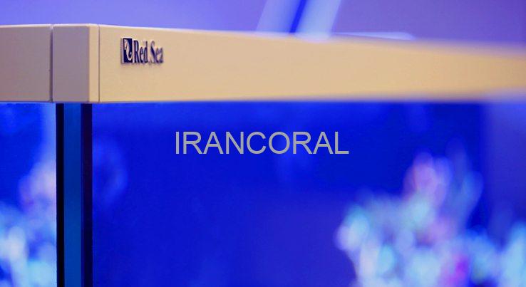 آکواریوم Max-S 500 برند Red Sea