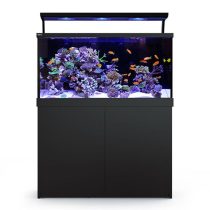 آکواریوم Max-S 500 برند ردسی