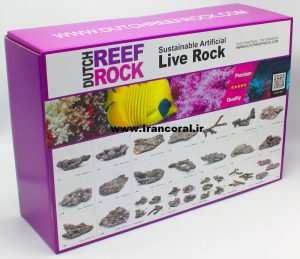 بیش از 30 مدل صخره متنوع در یک بسته بندی