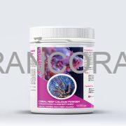 مکمل کلسیم پودری دیپ اوشن