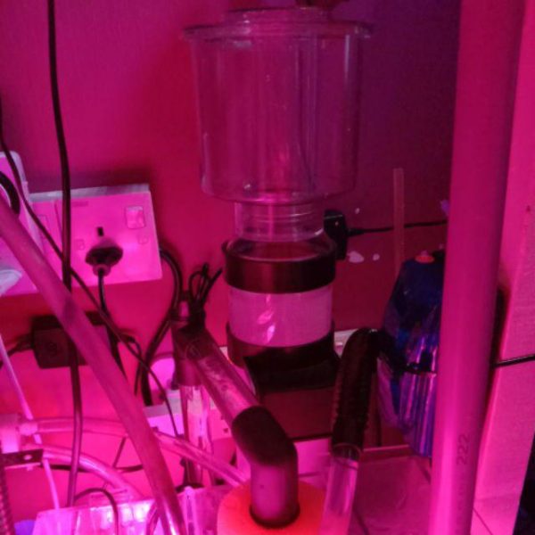 پروتئین اسکیمر ویپرو 2011