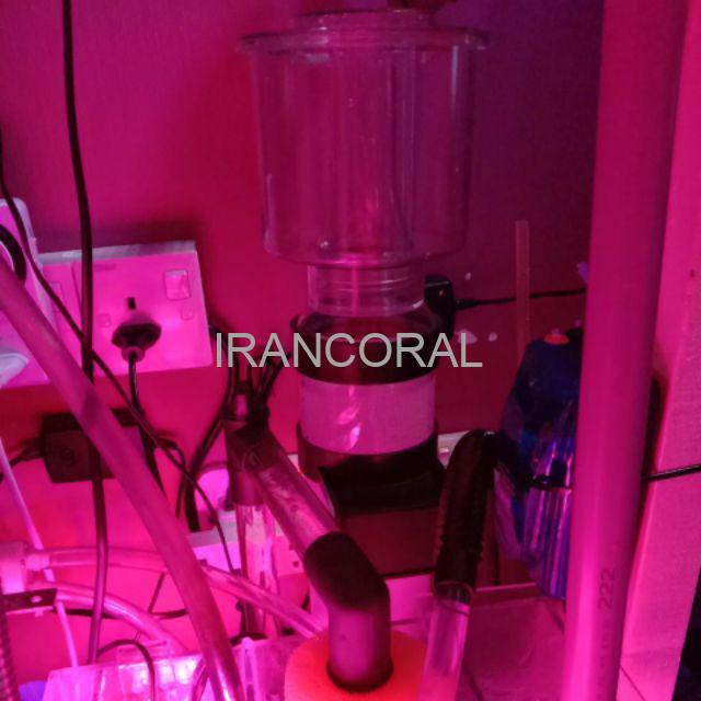 پروتئین اسکیمر ویپرو 2011