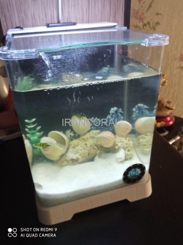 آکواریوم دلسا مدل B-101