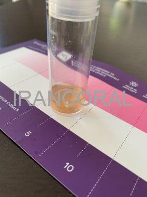 کیت تست نیترات آکوافارست