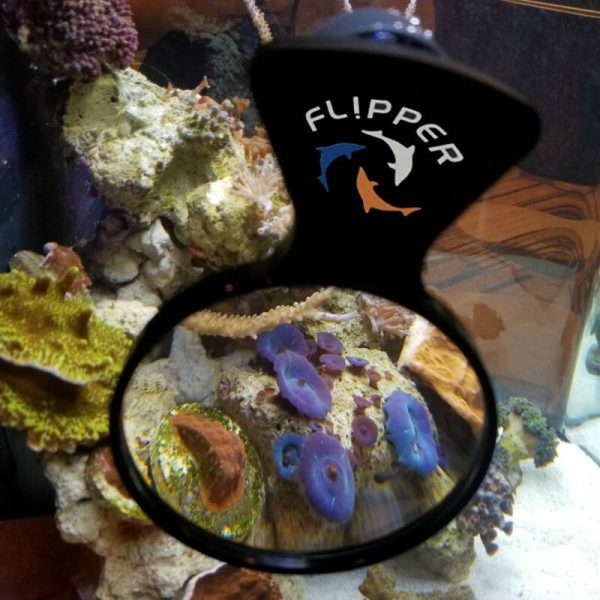 ذره بین فلیپر