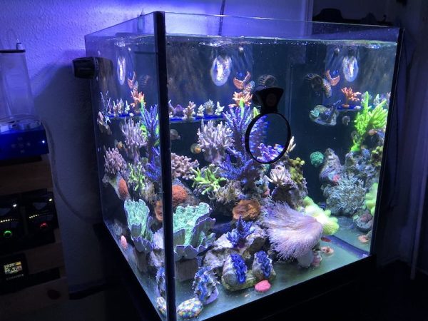 ذره بین فلیپر