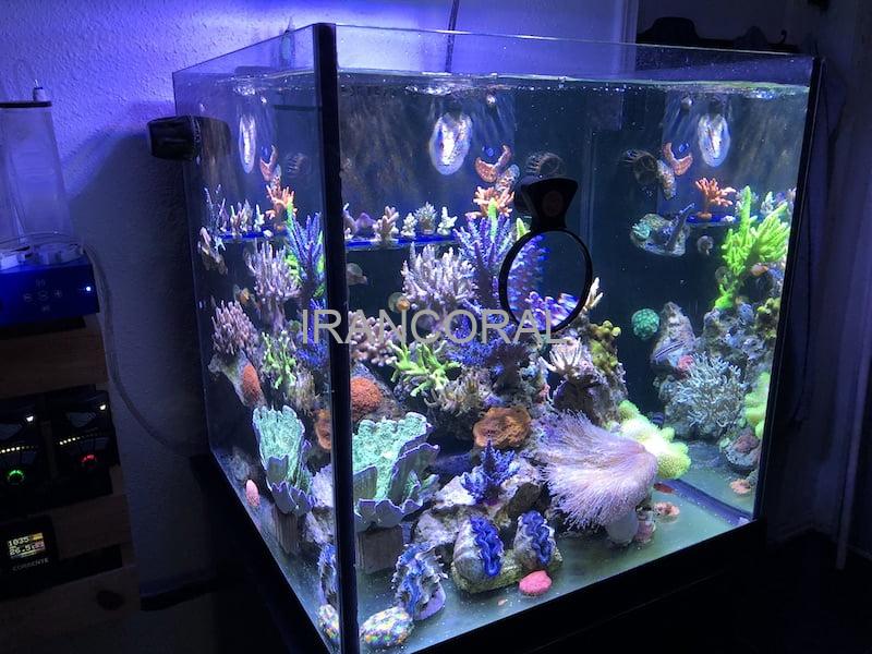 ذره بین فلیپر