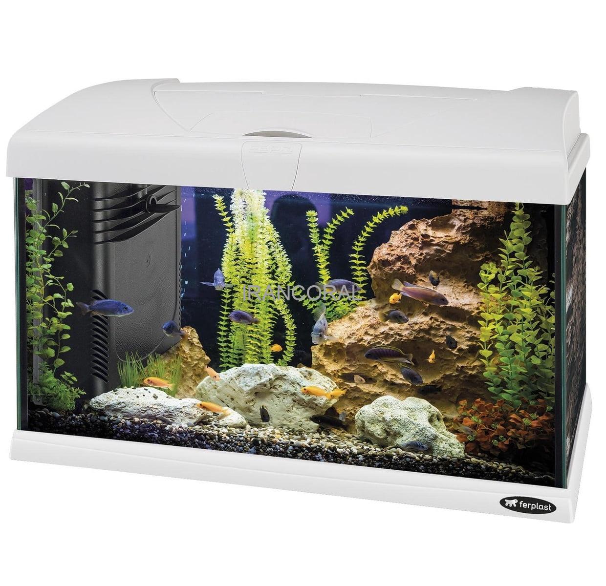 آکواریوم آماده کاپری 60 فرپلاست سفید