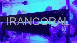 نور آکواریوم آب شور دایمکس