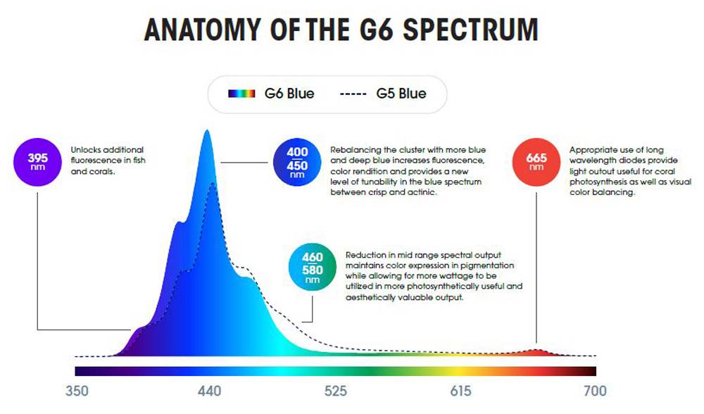 نورهای رادئون G6 پرو و G6 آبی به زودی از اکوتک مارین