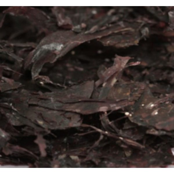 جلبک دریایی قرمز آکواریوم سیستم