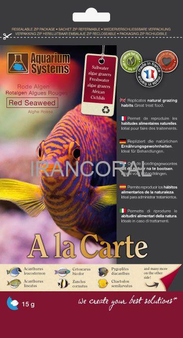 جلبک دریایی قرمز آکواریوم سیستم