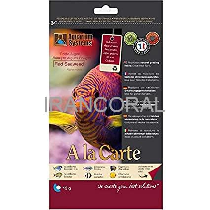 جلبک دریایی قرمز آکواریوم سیستم