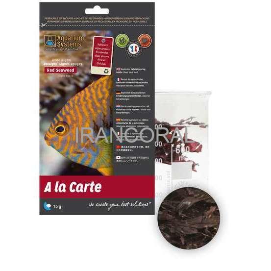 جلبک دریایی قرمز آکواریوم سیستم