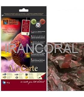 جلبک دریایی قرمز آکواریوم سیستم