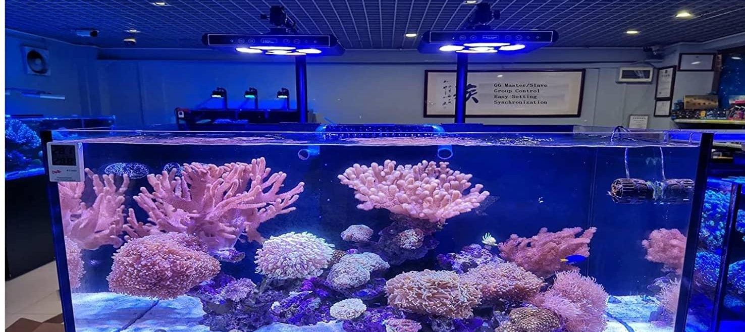 نور آکواریوم آب شور G6 سی تی لایت