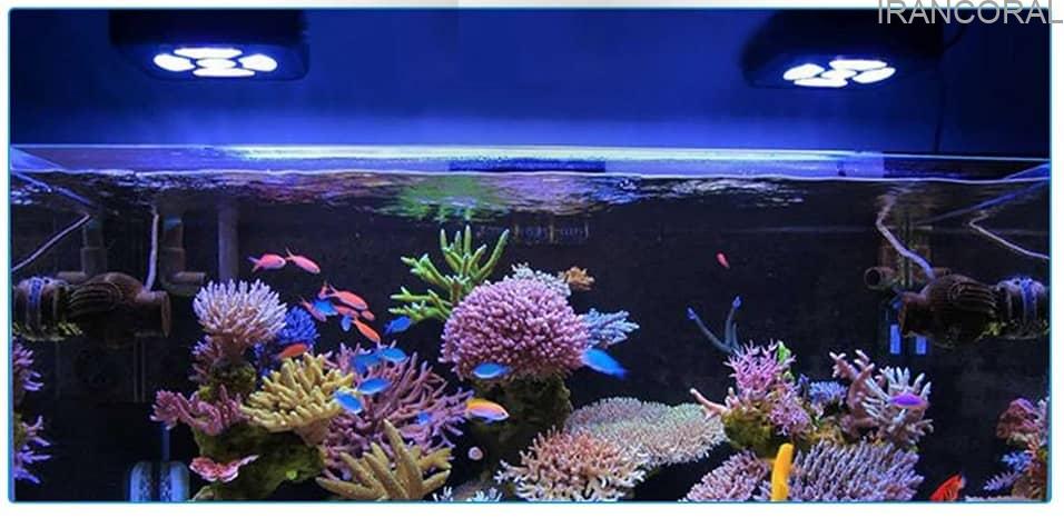 نور آکواریوم آب شور G6 سی تی لایت