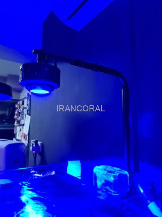 نور حرفه ای آکواریوم آب شور A7