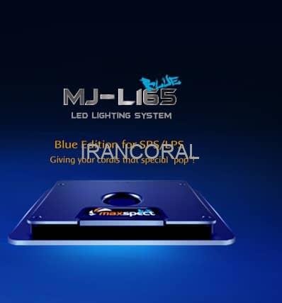 نور حرفه ای مکس اسپکت MJ-L165 بلو