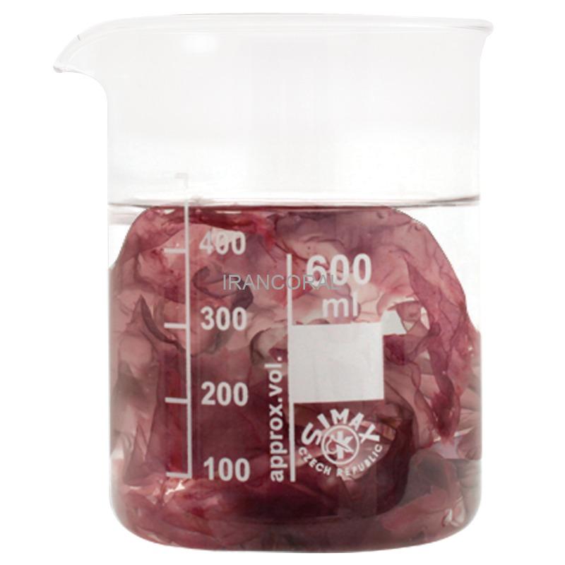 جلبک بنفش دریایی آلاکارته