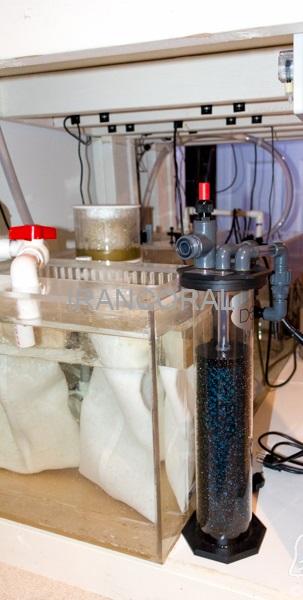 راکتور دنیتراتور 509 دلتک