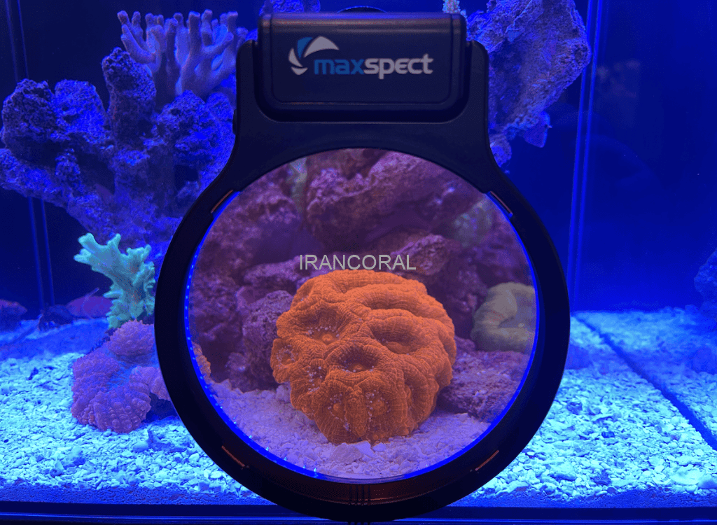 ذره بین و لنز فیلتر فوق العاده جذاب جدید مکس اسپکت