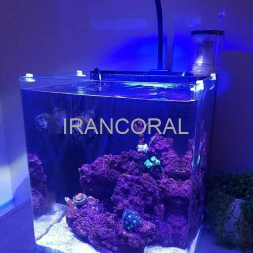 نور آکواریوم آب شور اسپکترا V2