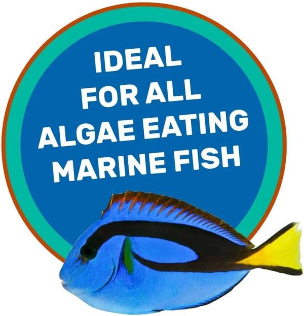 غذای تخصصی ماهیان آب شور گیاهخوار هیکاری